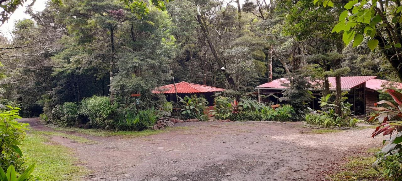 Cabanas La Montana Mountain Lodge Monteverde Exteriör bild
