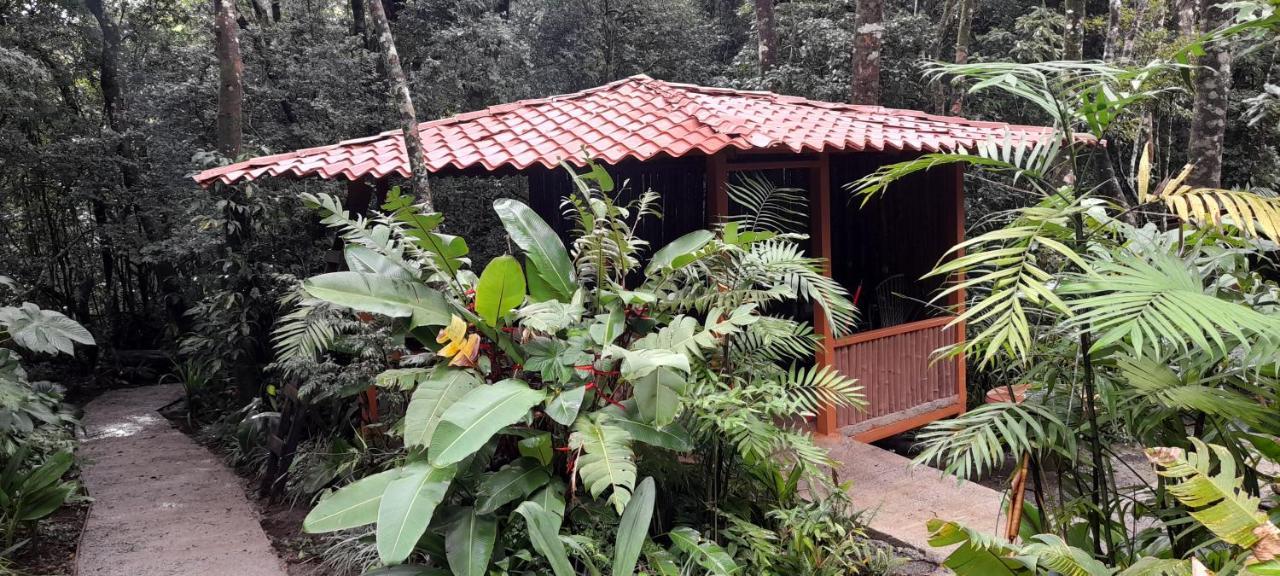 Cabanas La Montana Mountain Lodge Monteverde Exteriör bild