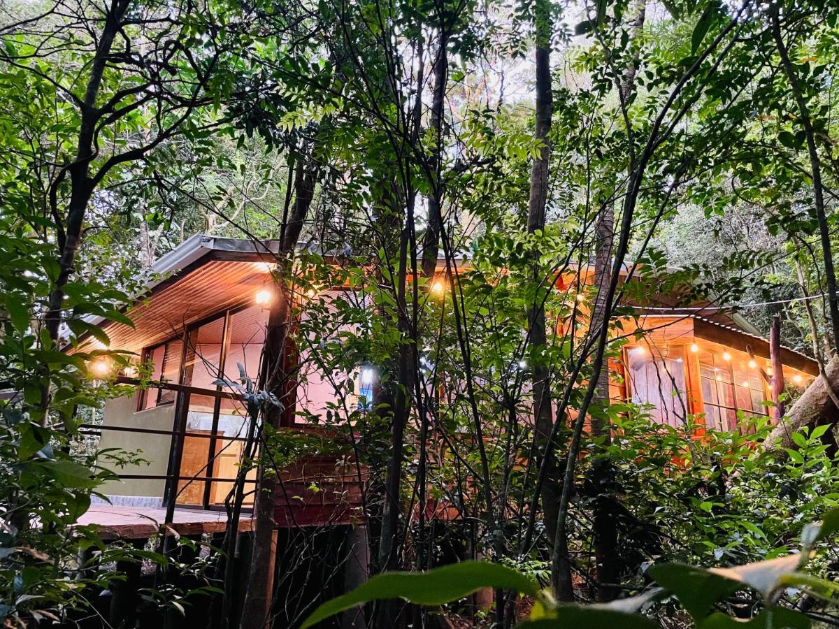 Cabanas La Montana Mountain Lodge Monteverde Exteriör bild