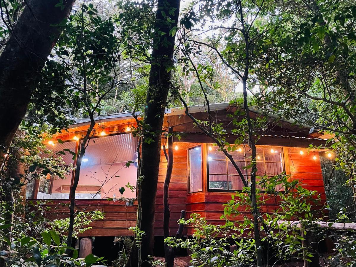 Cabanas La Montana Mountain Lodge Monteverde Exteriör bild